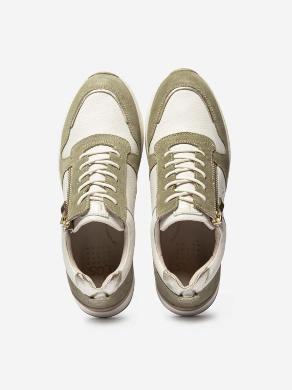 Candyquist.shop31cab53266 3