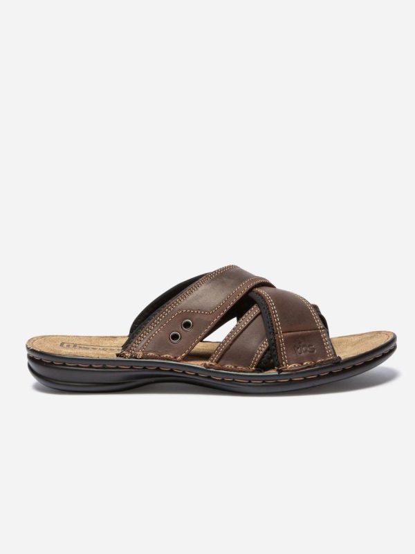 Candyquist.shop36f5b49a25 1