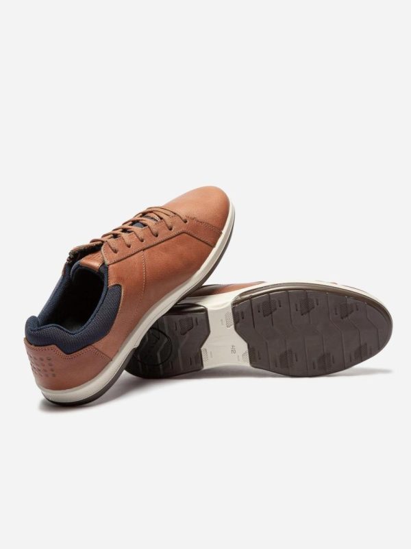 Candyquist.shop5ac1b50a7c 4