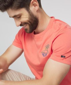 Candyquist.shop94f13fecd6 4