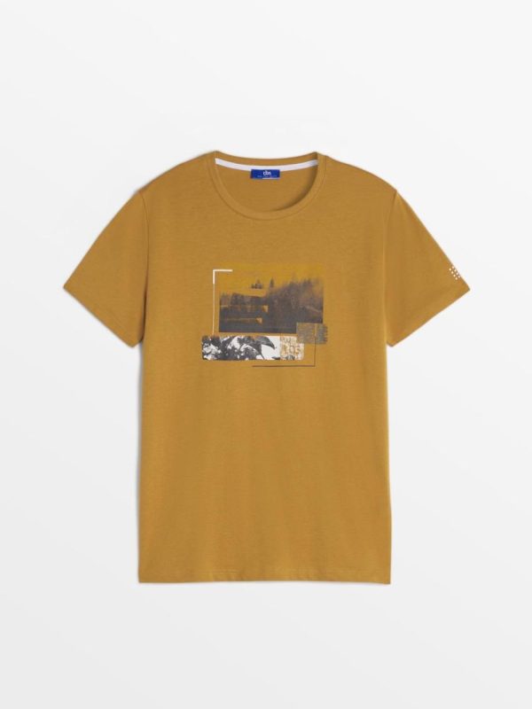 Candyquist.shop9abdee0425 1