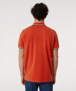 Candyquist.shopaf8e96381f 5