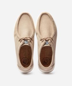 Candyquist.shopc6814c6da8 3