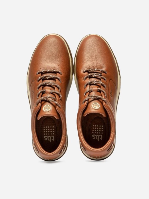 Candyquist.shopd74381de5d 3