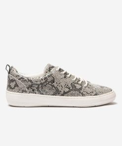 Candyquist.shopfbd829b7e1 1