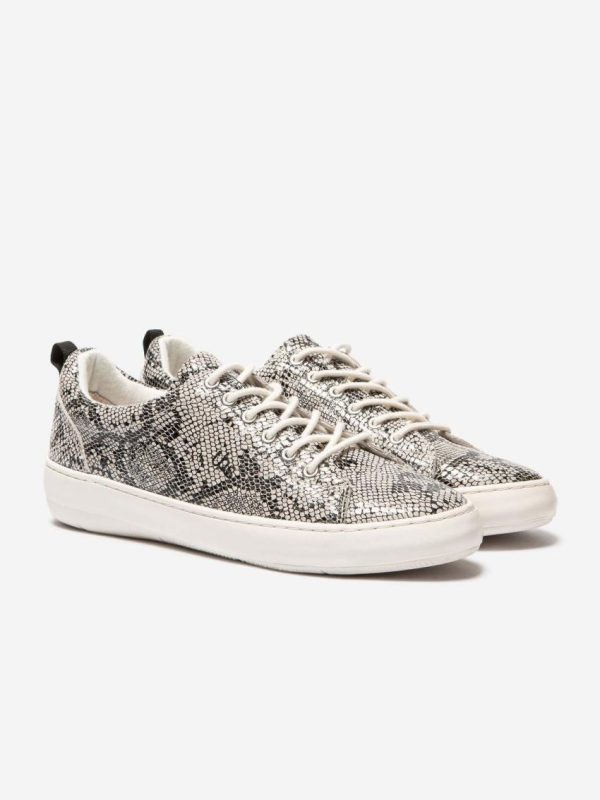 Candyquist.shopfbd829b7e1 2